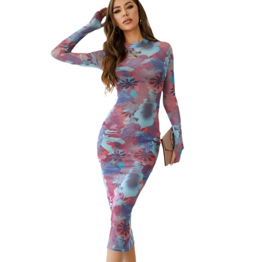 Women's Round Neck Long Sleeve Finger Fit Design Mesh Floral Print Dress