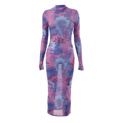 Women's Round Neck Long Sleeve Finger Fit Design Mesh Floral Print Dress